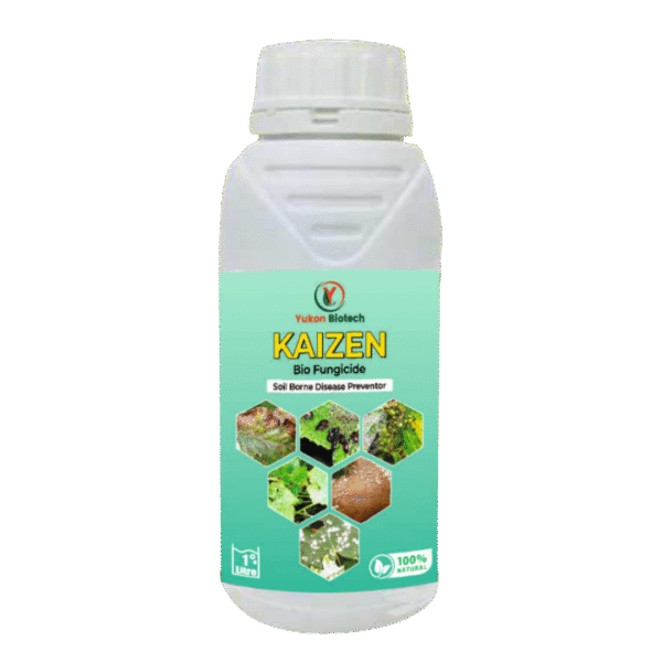 Kaizen