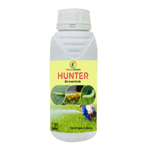 HUNTER