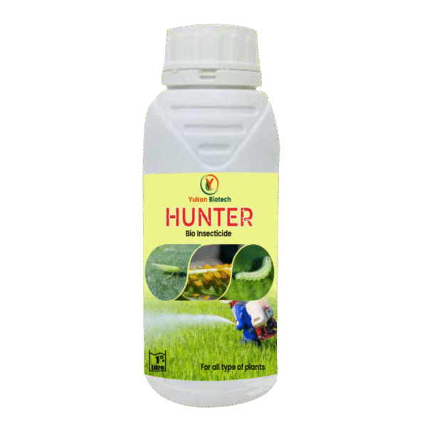 HUNTER