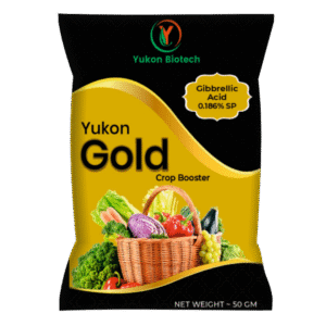 Yukon Gold