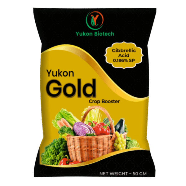 Yukon Gold