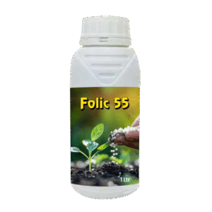 Folic 55
