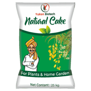 Natural Cake