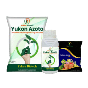 Yukon Azoto