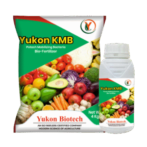Yukon KMB