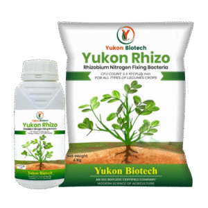 Yukon Rhizo