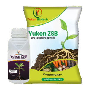 Yukon ZSB